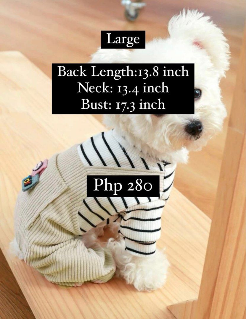 Preloved dog clothes Pet Supplies Homes Other Pet Accessories