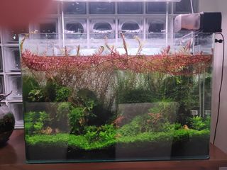 (Category: ) located in . Submitted by bryantan.lt (Listing ID 1292745891, Image 1). Description: .