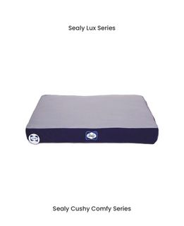 （分類：）位於 。 由 seprain 提交（商品編號 1292715817，圖片 1）。簡介： 。