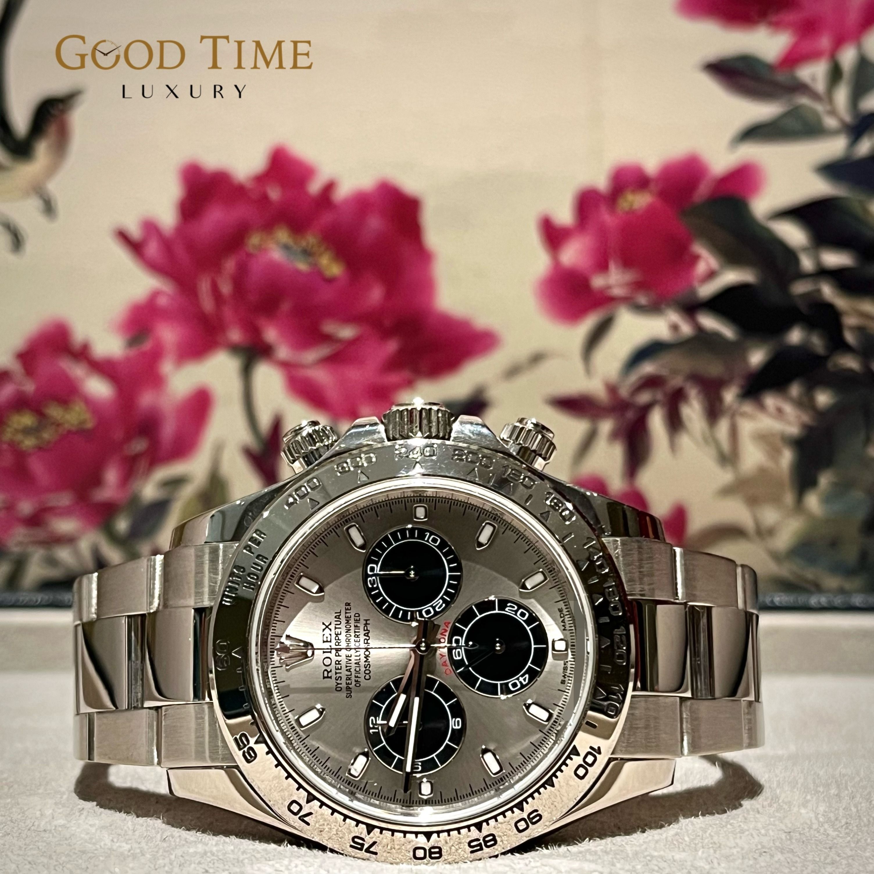 Rolex daytona white gold panda online
