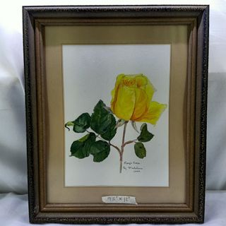AD47 Roy's Rose real water color painting   9.5"x 12" in solid wood frame from UK for 950