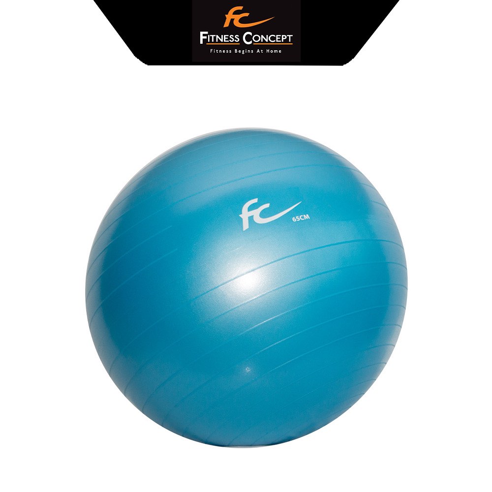 Elite Fitness Anti-Burst Gym Ball with Hand Pump - 65cm