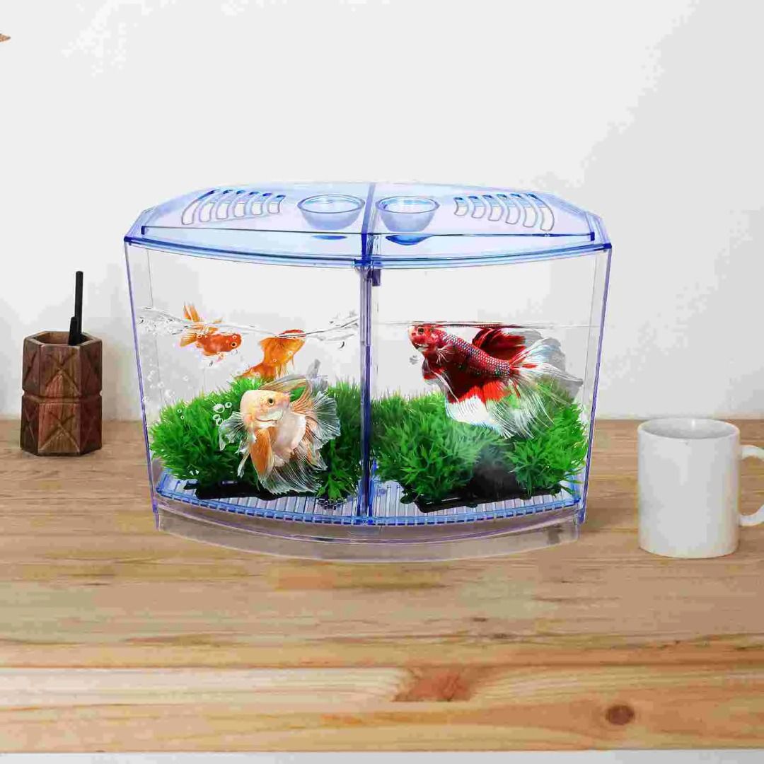 Plastic Fish Tank Small Aquarium 20 Liters Green Decor Acrylic Aquariums  and Tanks, 寵物用品, 寵物家品及其他- Carousell