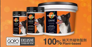 （分類：）位於 。 由 momo-bb 提交（商品編號 1292838815，圖片 1）。簡介： 。