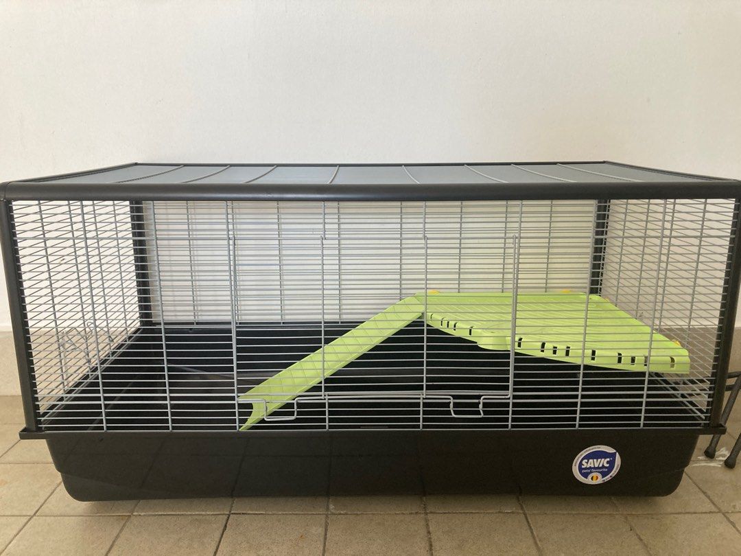 Savic hamster plaza 2025