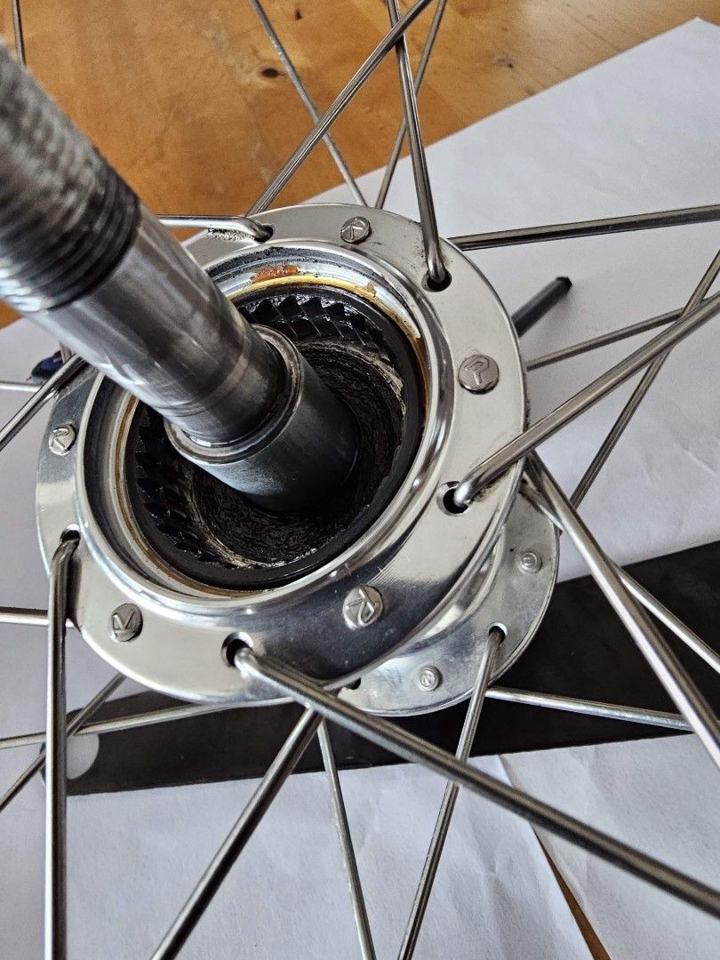 Shimano Capreo cassette hub cleaning and servicing, Sports