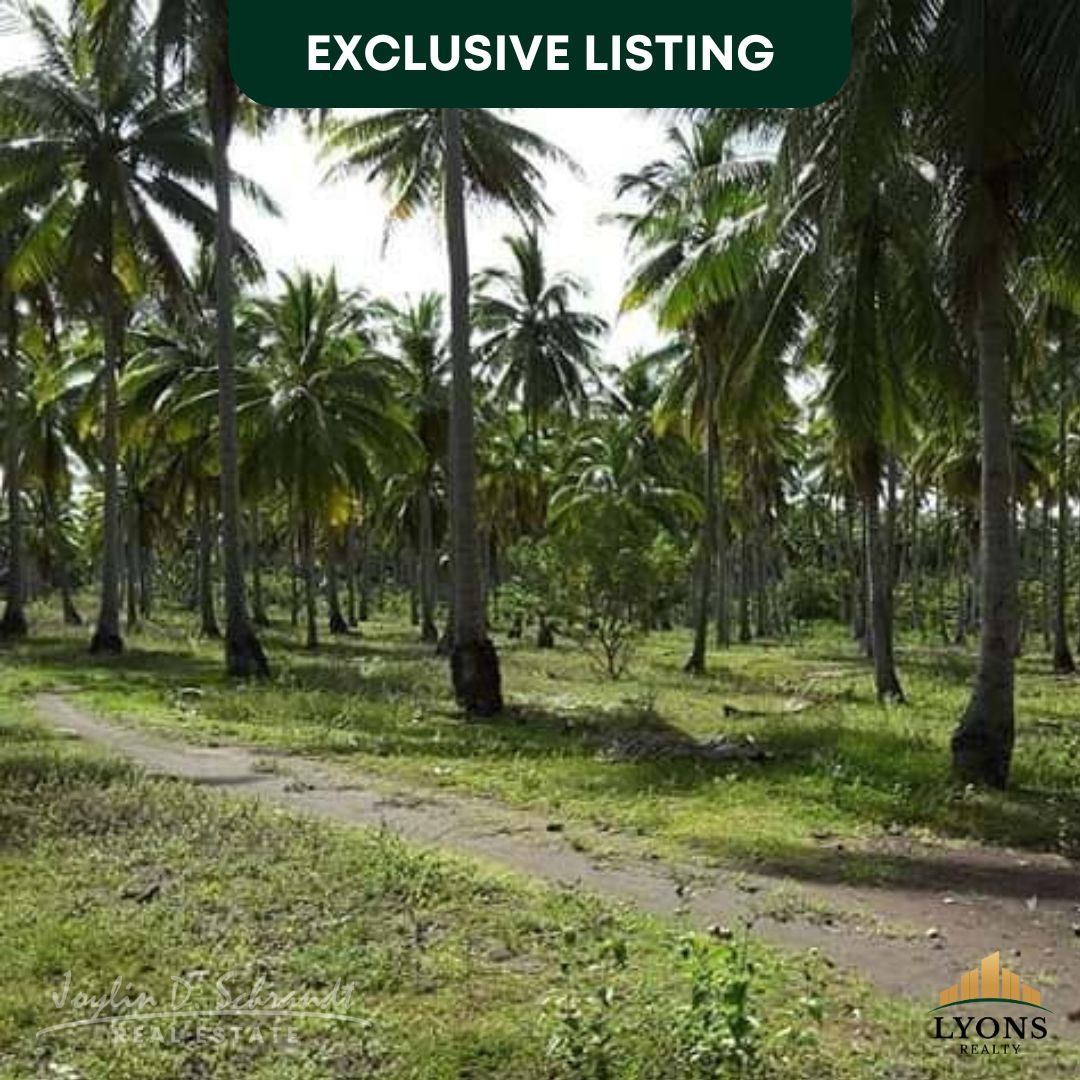 Titled Beach front at Brooke's Point Palawan (Category: Lot) located in San Juan City. Submitted by Joylin.Dinglasa (Listing ID 1291450245, Image 2). Description: 🏝️ Rush Sale Beach Lot 🔥 ✅ Titled beach lot Brooke's Point Palawan ✅Selling price at P200 per sqm or 34,000.00 ✅Total land area 17.6 hectares ✅ 1.5 km from main highway ✅ 1km beach front ✅ 180 km to the Airport ✅ Flooded free ✅ Approximately 1km frontage by the water ✅ There’s a baran