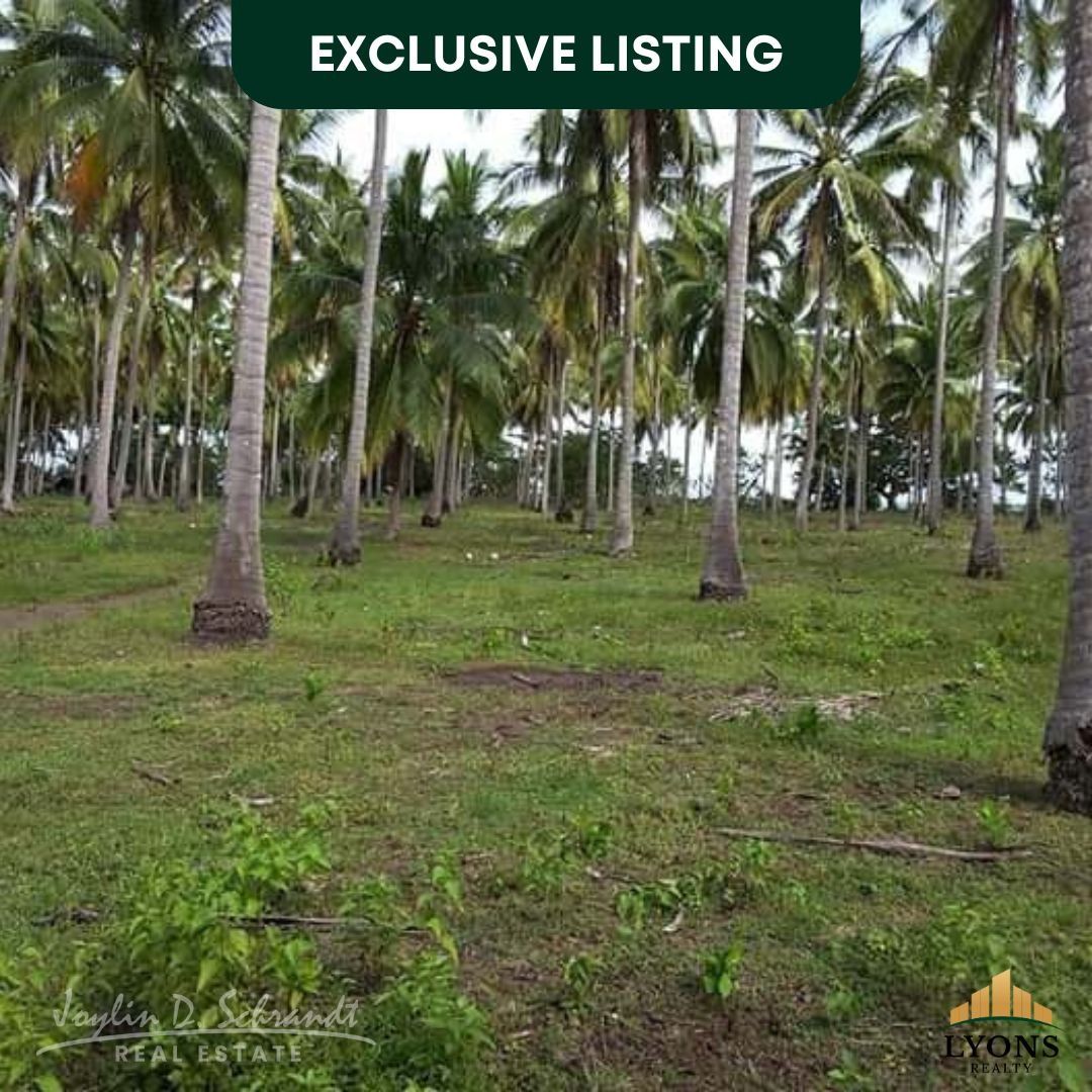 Titled Beach front at Brooke's Point Palawan (Category: Lot) located in San Juan City. Submitted by Joylin.Dinglasa (Listing ID 1291450245, Image 3). Description: 🏝️ Rush Sale Beach Lot 🔥 ✅ Titled beach lot Brooke's Point Palawan ✅Selling price at P200 per sqm or 34,000.00 ✅Total land area 17.6 hectares ✅ 1.5 km from main highway ✅ 1km beach front ✅ 180 km to the Airport ✅ Flooded free ✅ Approximately 1km frontage by the water ✅ There’s a baran