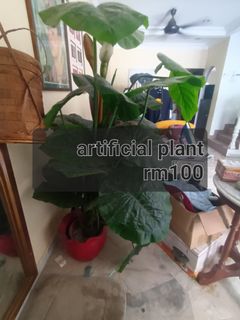(Category: ) located in . Submitted by shobaputra (Listing ID 1293073436, Image 1). Description: .