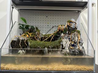 (Category: ) located in . Submitted by superaquarium (Listing ID 1293121265, Image 1). Description: .