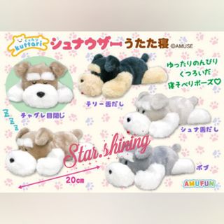 （分類：）位於 。 由 star.shining 提交（商品編號 1293075280，圖片 1）。簡介： 。