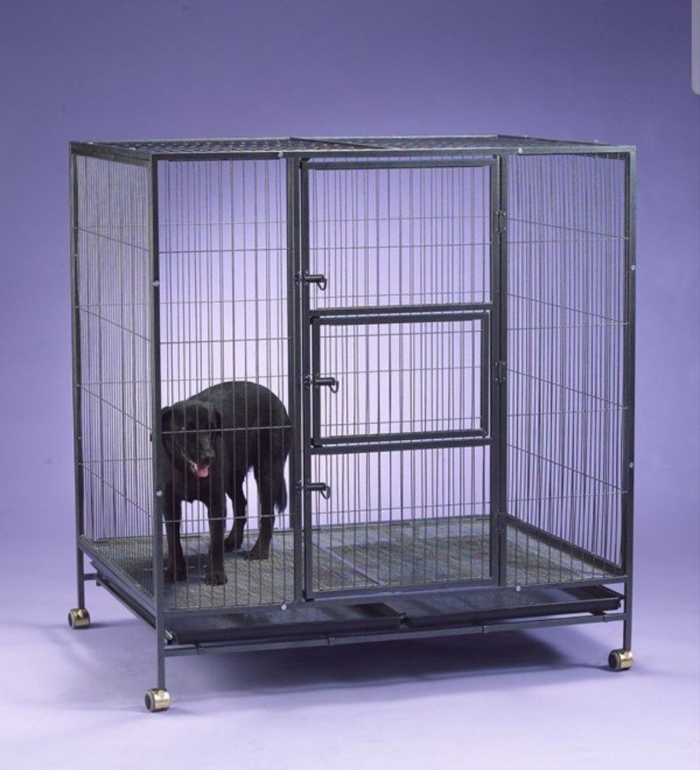 Huge dog cage for big dog