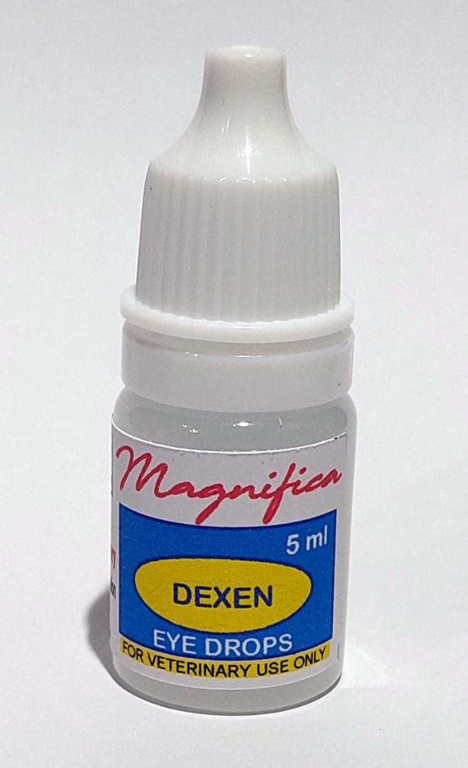 Ciprofloxacin ear drops for dogs sale