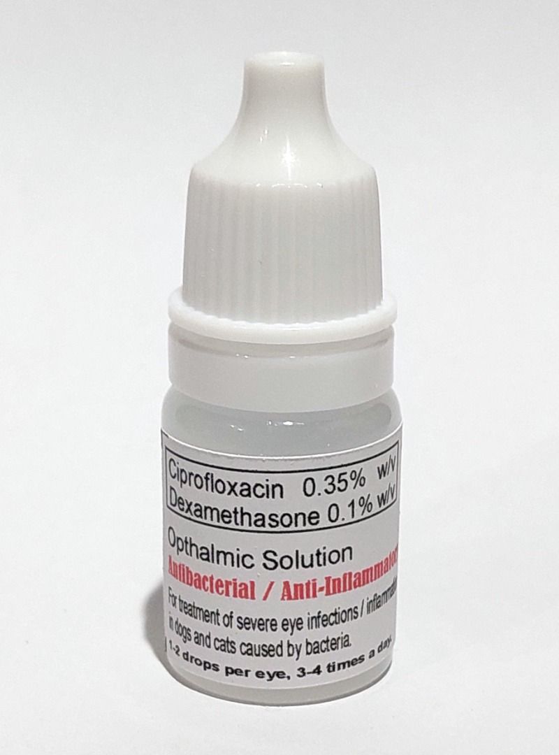 Ciprofloxacin for ear infection in dogs top