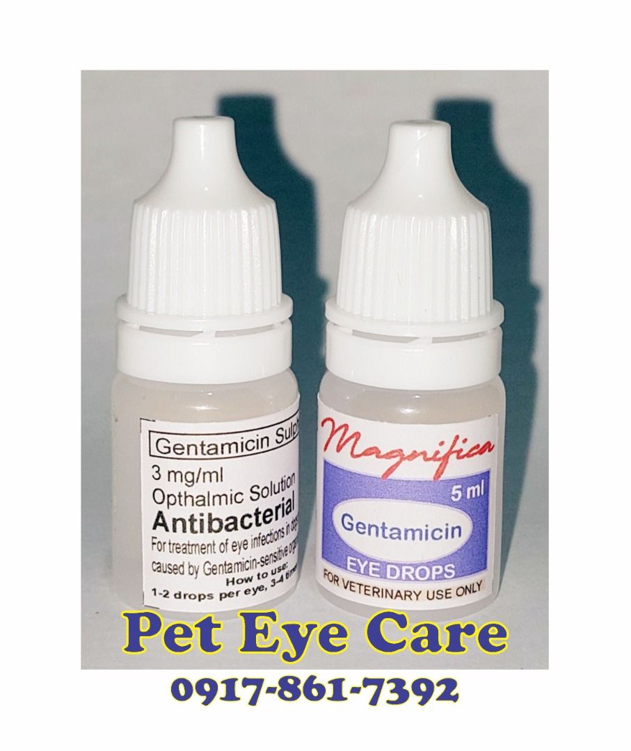 Magnifica Gentamicin Eye Drops for Dogs & Cats 5ml, Pet Supplies