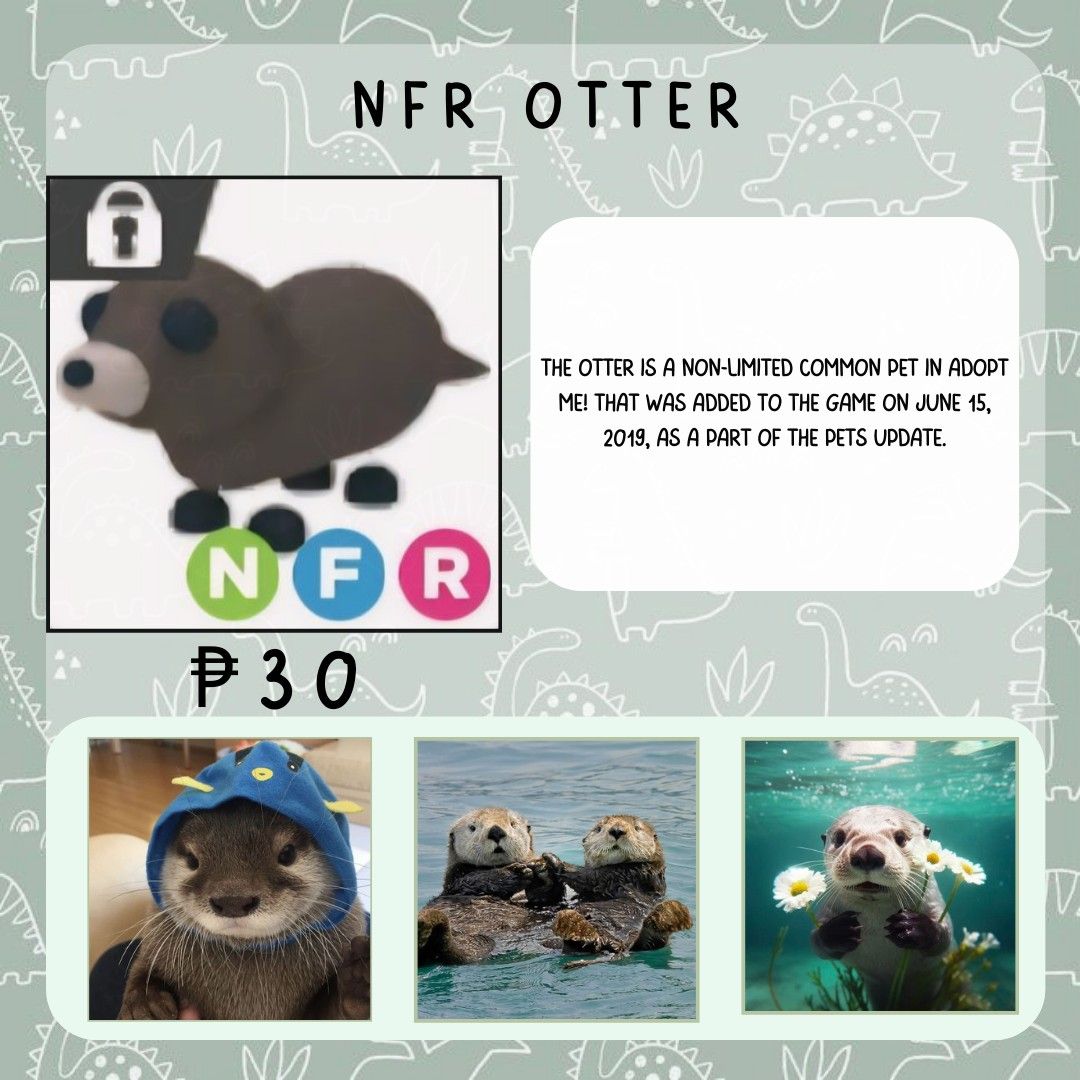 NFR Otter | Adopt Me, Video Gaming, Gaming Accessories, In-Game