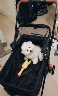 （分類：）位於 。 由 FlotinaB 提交（商品編號 1292991231，圖片 1）。簡介： 。