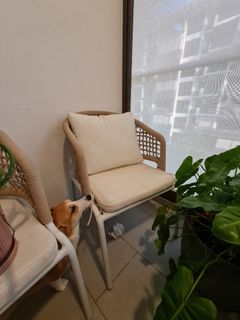 (Category: ) located in . Submitted by maxythedog (Listing ID 1293267659, Image 1). Description: .