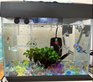 （分類：）位於 。 由 bubblefreshhk 提交（商品編號 1293175731，圖片 1）。簡介： 。