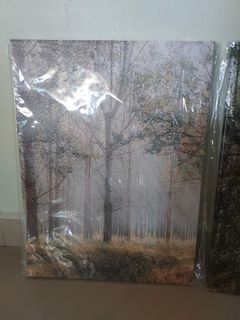 (Category: ) located in . Submitted by bubbleblue33 (Listing ID 1293188564, Image 1). Description: .