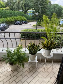 (Category: ) located in . Submitted by lexmacpherson (Listing ID 1293241432, Image 1). Description: .