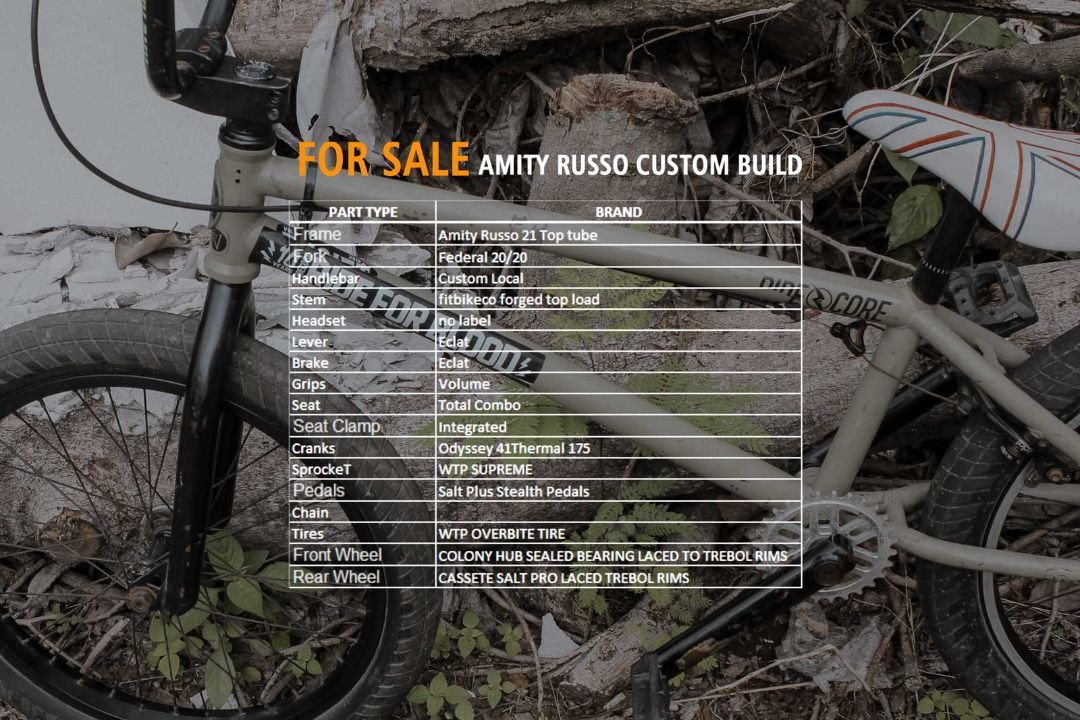 Frame amity russo clearance