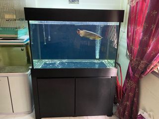 (Category: ) located in . Submitted by vinuuujai (Listing ID 1293232381, Image 1). Description: .