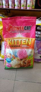 Power Cat Kitten