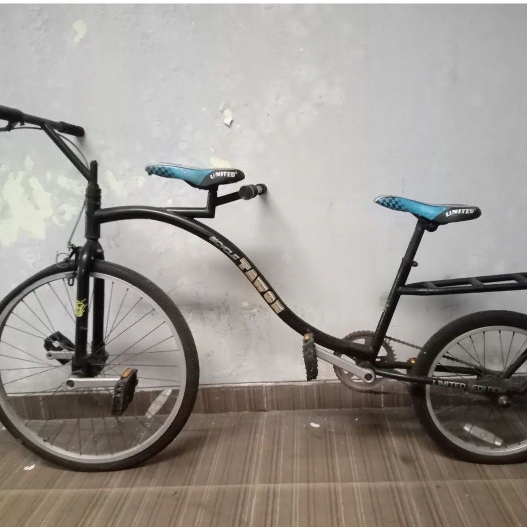 Sepeda Tandem Custom Tawon ), Olah Raga, Sepeda di Carousell