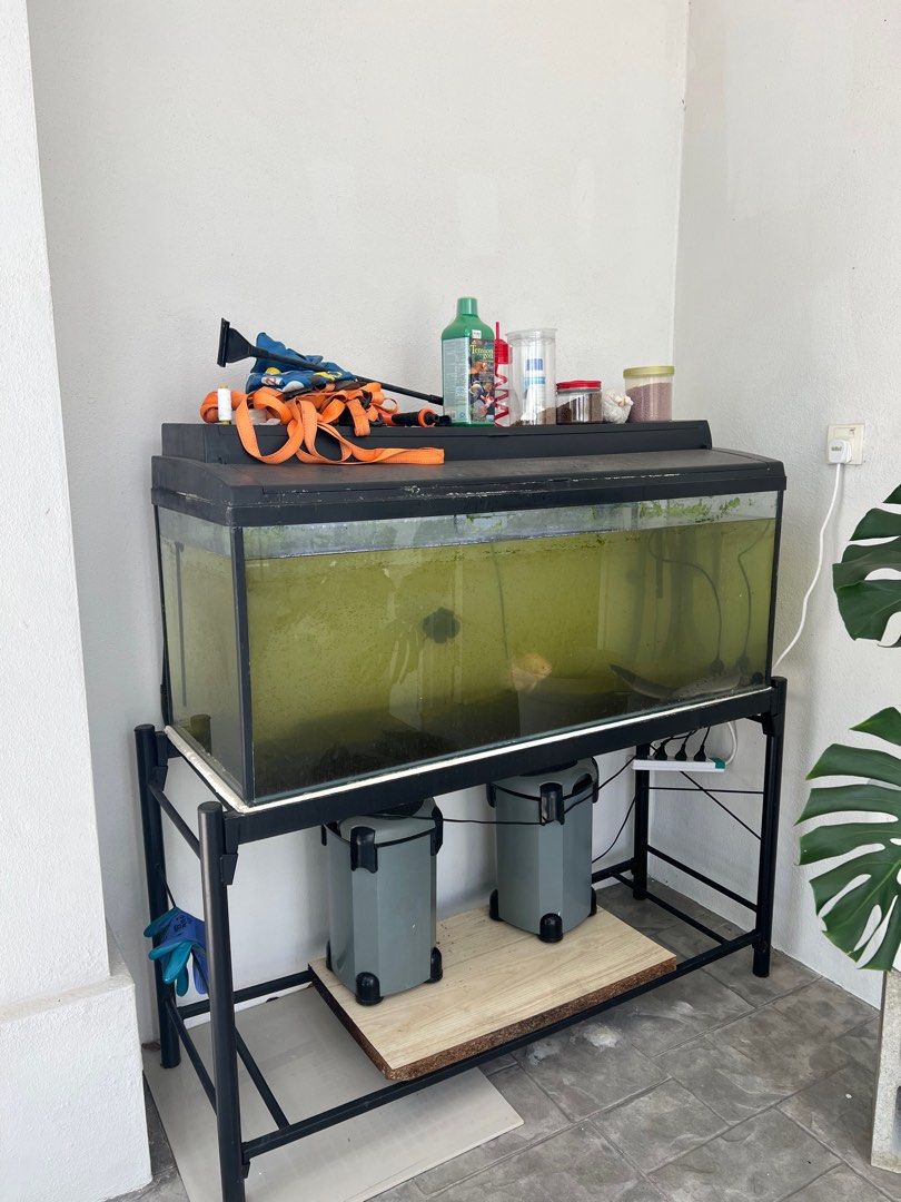 Aquarium 4ft + Stand, Pet Supplies, Homes & Other Pet Accessories on Carousell