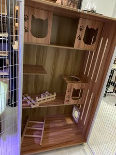 (Category: ) located in . Submitted by annaseoh (Listing ID 1293527113, Image 1). Description: .