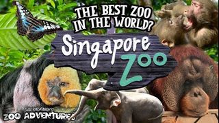 (Category: ) located in . Submitted by ticketkingtravel (Listing ID 1293506989, Image 1). Description: .
