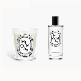 Diptyque Mimosa Parfum + Scented Candle