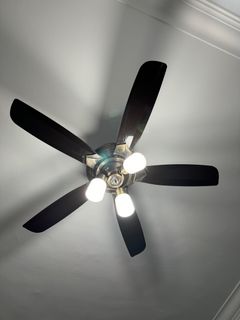 (Category: ) located in . Submitted by rejisol (Listing ID 1293551683, Image 1). Description: .