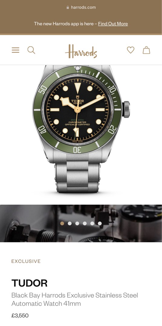 TUDOR BLACK BAY GREEN HARRODS EDITION 79230G rolex Luxury Watches on Carousell