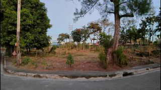 120sqm Residential Lot for sale in Greenwoods, Taytay