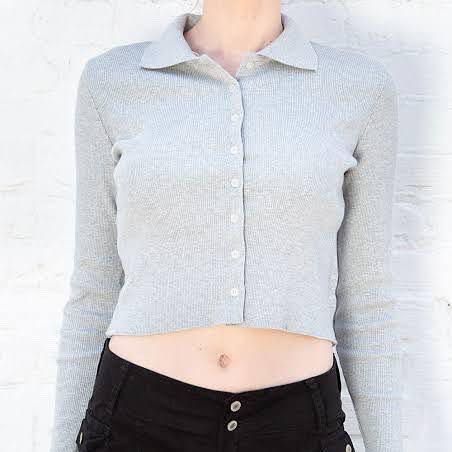 Brandy Melville Caroline Long Sleeved Crop Top, Women's Fashion, Tops,  Blouses on Carousell
