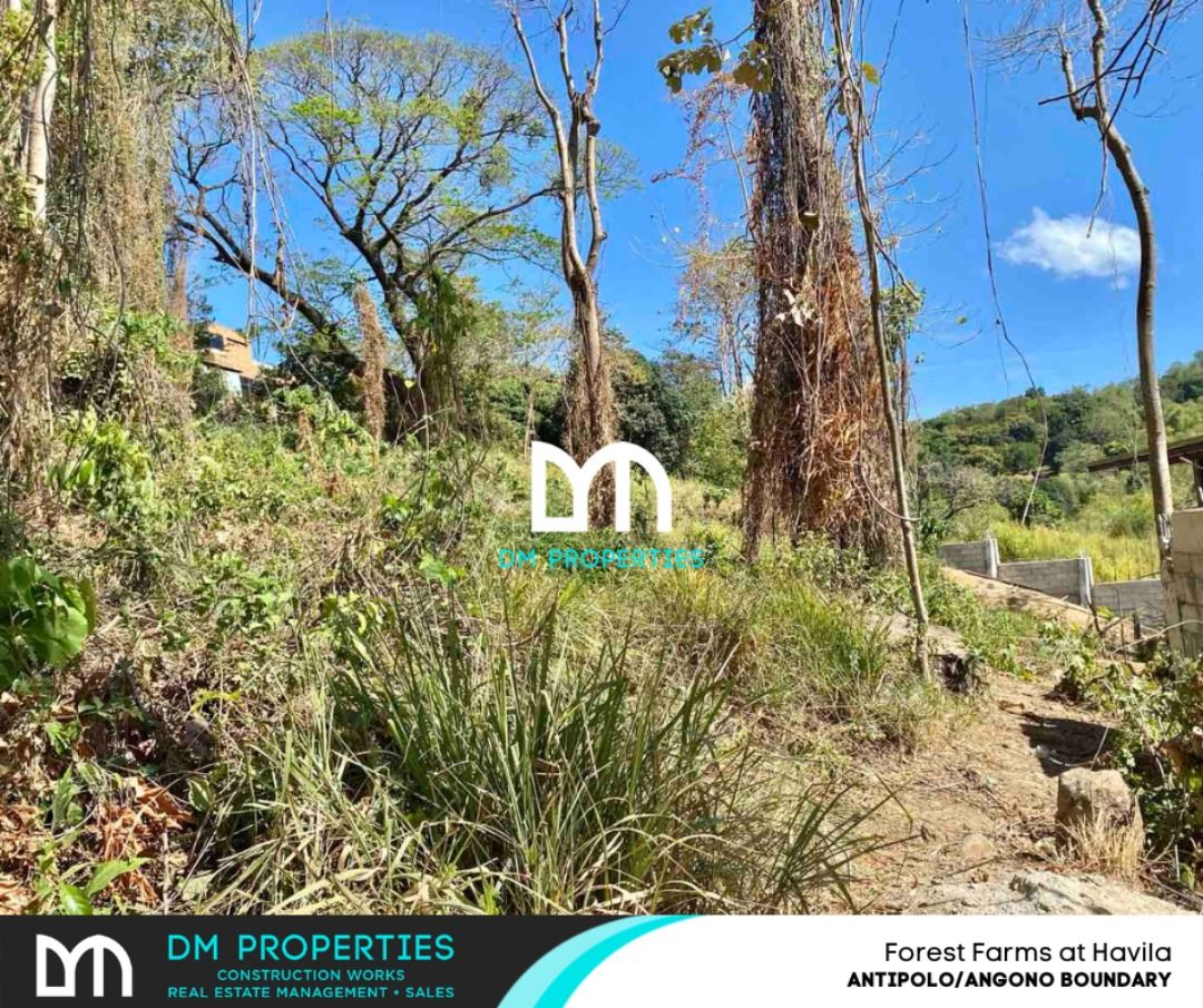 For Sale: Vacant Lots in Forest Farms at Havila, Antipolo/Angono ...