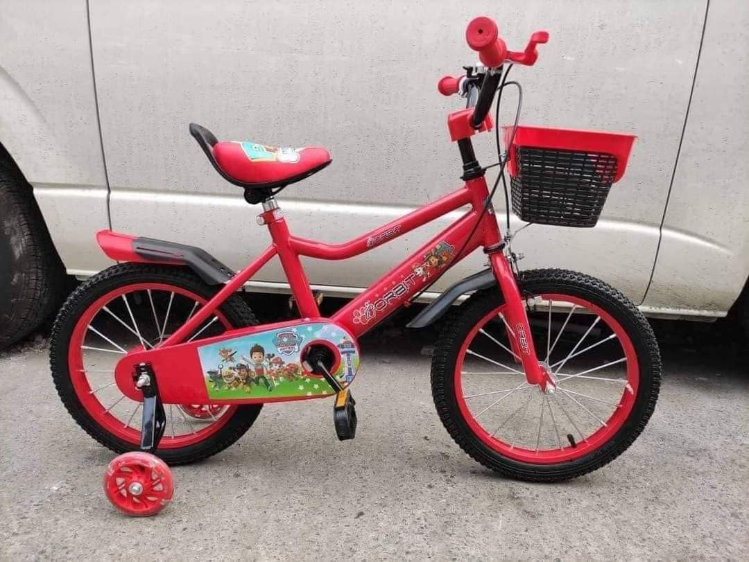 Paw patrol bike 3 year old online