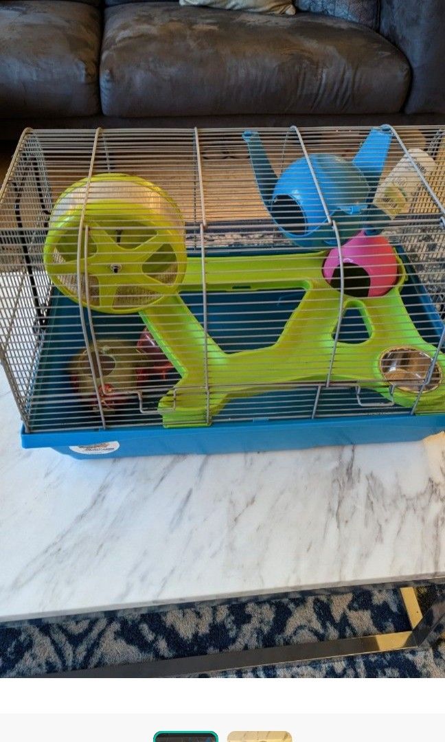 Hamster stuff for sale outlet