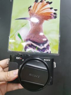 （分類：）位於 。 由 shamwo_114 提交（商品編號 1126185150，圖片 1）。簡介： 。