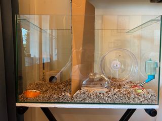 (Category: ) located in . Submitted by daichi.d.a.tan (Listing ID 1293921524, Image 1). Description: .