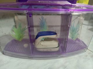 (Category: ) located in . Submitted by awesome90 (Listing ID 1293873523, Image 1). Description: .