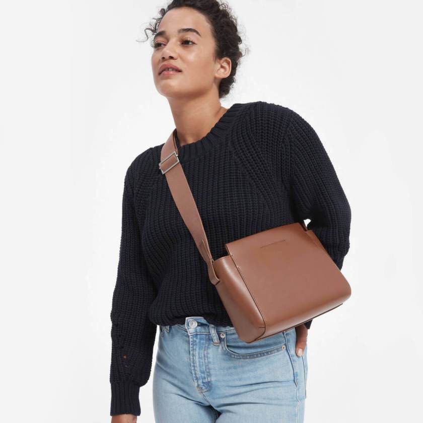 Everlane Mini Form Bag