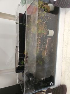 (Category: ) located in . Submitted by santara (Listing ID 1293779331, Image 1). Description: .