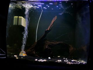 (Category: ) located in . Submitted by udonta (Listing ID 1293867762, Image 1). Description: .