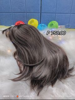 Human Hair Wig/Extension