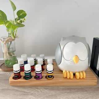 LIKE NEW: Young Living Owl diffuser premium set
