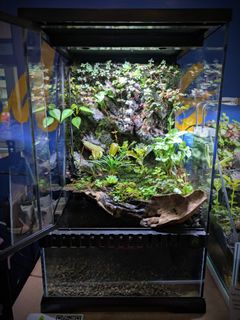 (Category: ) located in . Submitted by Fortune_Green_Design (Listing ID 1293882607, Image 1). Description: .