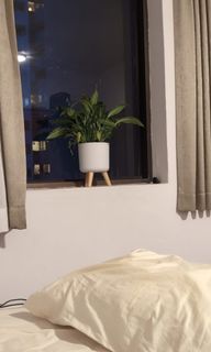 (Category: ) located in . Submitted by sahiljindal8 (Listing ID 1293835122, Image 1). Description: .